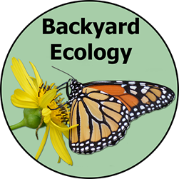 Backyard Ecology