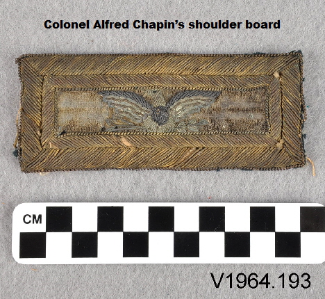 Chapinshoulderboard